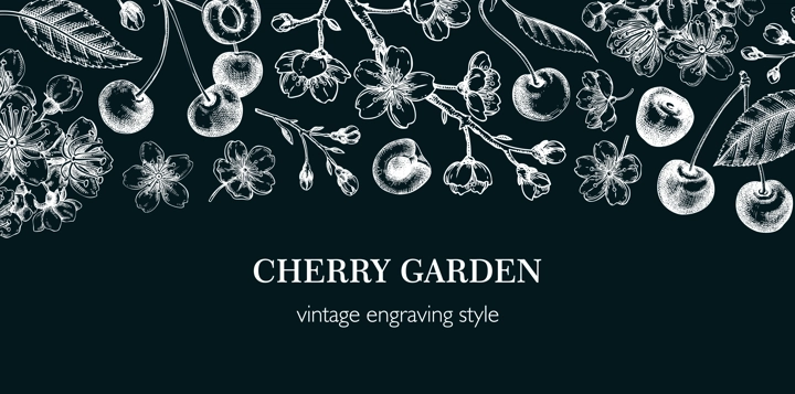 Summer background, engraved style. Cherry blossom, sakura flowers, berry fruit chalk drawings. NOT AI generated